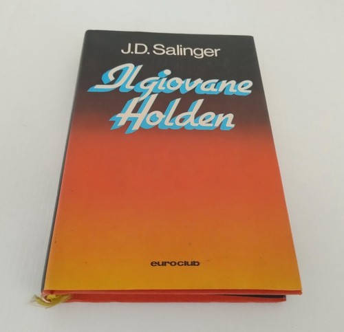 Giovane holden romanzo - il,
