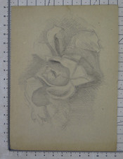 DISEGNO MATITA SU CARTA FLOREALE FIORI BOZZETTO ORIGINALE PITTORE L. NANCEY NZ6