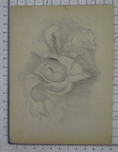 Disegno matita carta - disegno,