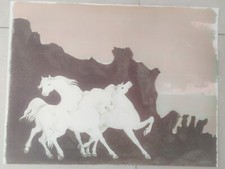 Aligi sassu litografia - aligi, nivei