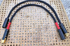 MoneyBACK - Cavo di interconnessione personalizzato 0,5 mx2 XLR/Mix argento filo oro e rame