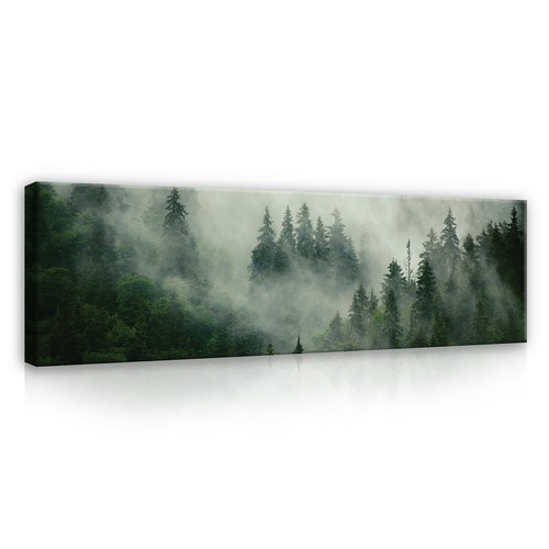 Foresta nebbia naturale quadri - naturale,