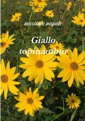 Napoli giallo topinambur - -,