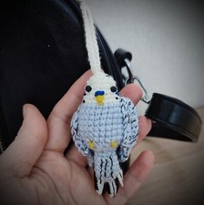 Budgie parrocchetto blu fatto
