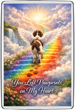 Rainbow bridge fridge - 🐾rainbow,