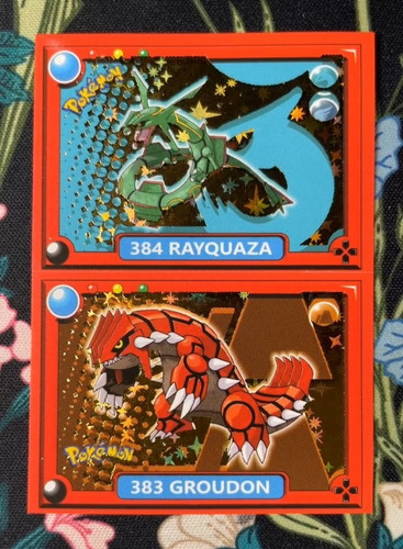 Pokemon rayquaza groudon - pokemon,