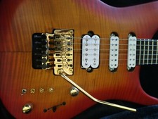 MANNE Custom Neck Thru Guitar