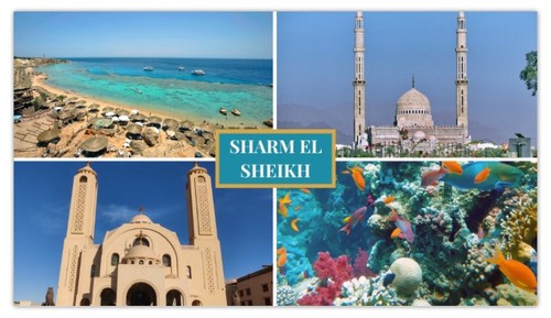 Sharm sheikh egypt fridge - egypt,