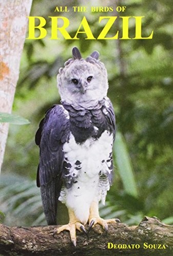 All the birds brazil an - the,