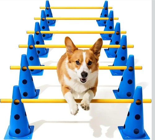 Corso agilità per cani - agilità,