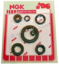 Kit Serie Paraoli per Motore -