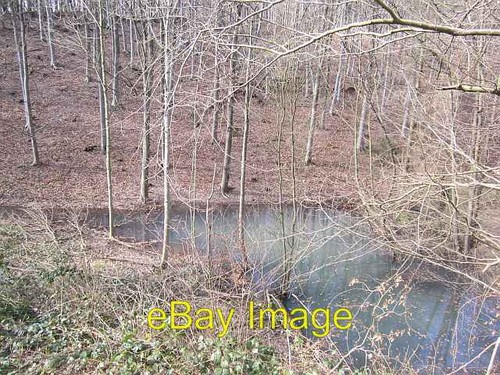 Photo 6x4 pond - photo, forest