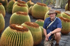 Echinocactus grusonii - grusonii,