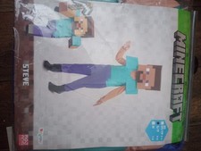 Costume Minecraft Steve 4-6