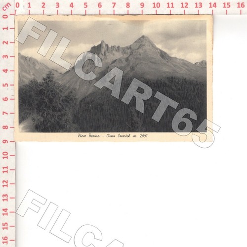 C7030 trento 1937 pieve tesino - c7030,