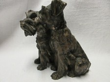 BERTOLOTTI  VINCENZO - COPPIA CAGNOLINI SCHNAUZER