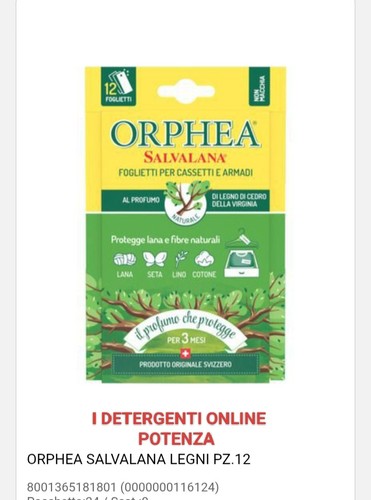 Orphea foglietti - orphea,