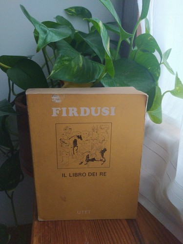 Libro dei firdusi i - il,