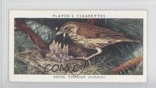1937 player birds their - birds,