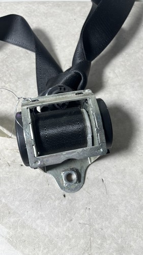 Cintura sicurezza - cintura, di