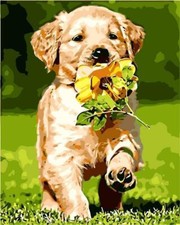 Dipinto con i numeri cucciolo