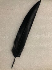 PENNA ALPINO FLEX ACQUILA NERA