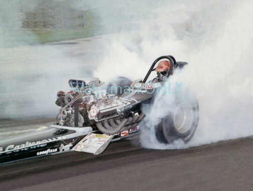 Steve carbone 1969 - steve,