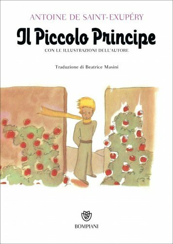 Libro piccolo principe - libro, il