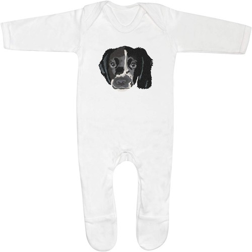 Springer spaniel puppy - 'springer, puppy'
