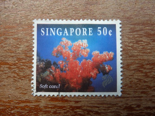 Singapore 1994 reef - 1994, life