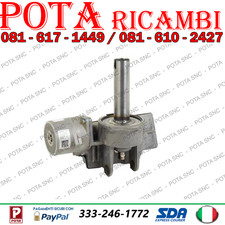 City - Piantone Sterzo -