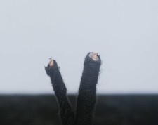 Modulo interfaccia video AUDI A5 8T3 3.0 TDI MMI 8T0035462 2009