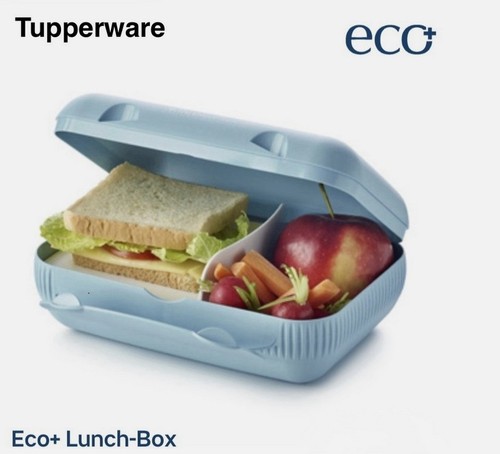 Tupperware lunch box - go,