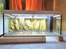 Acquario Juwel Rio 240 led usato