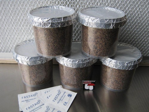 Magic farm shiitake - magic, farm's