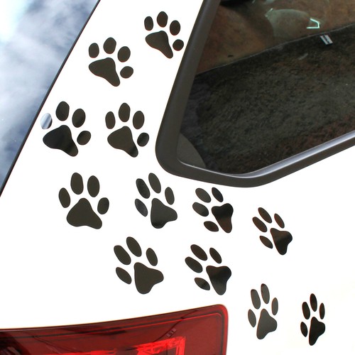 Pezzi zampe cane - pezzi,