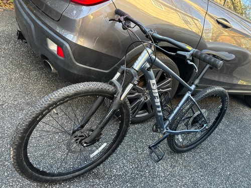 Giant mountain bike metallic