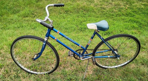 All original 1966 schwinn - 1966,