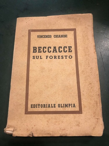 Beccacce sul foresto vincenzo - beccacce,