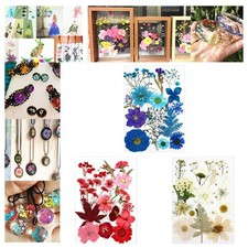 1 confezione di fiori secchi