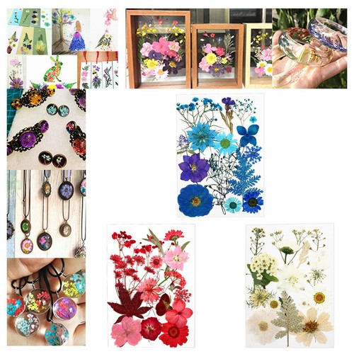 Confezione fiori secchi - di,