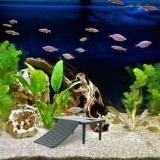  Piattaforma di plastica delle