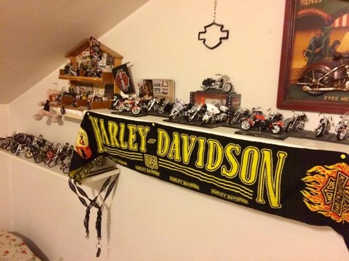 Collezione modellini harley - collezione,