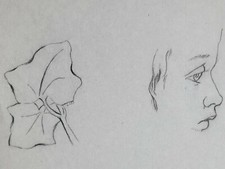 Studio Viso Profilo Disegno