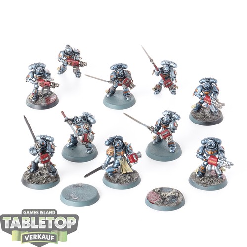 Grey knights x - knights,
