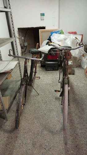 Bici pon olandese - bici,