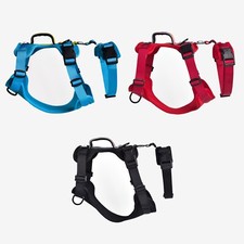 BlueGuard imbracatura di