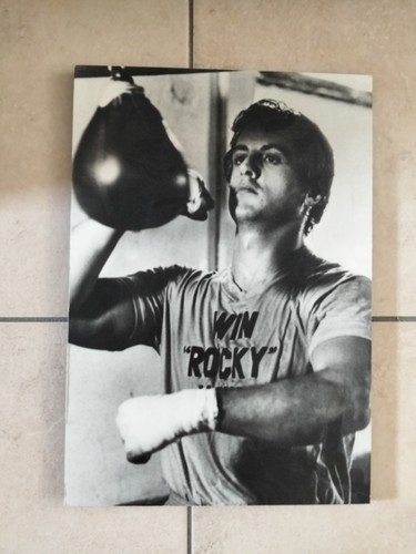 Quadro rocky balboa - rocky,