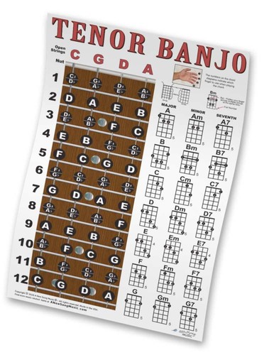 Tenore banjo corde tastiera - 4,