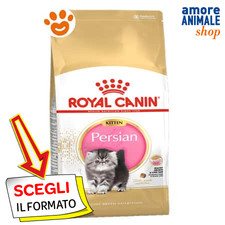 Royal Canin Cat Kitten Persian